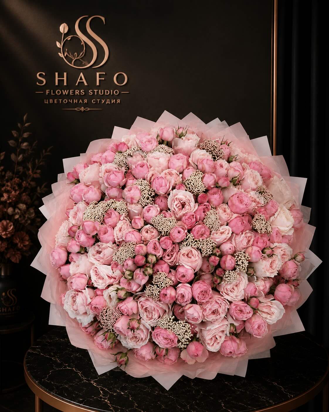 VIP №12 SHAFO
